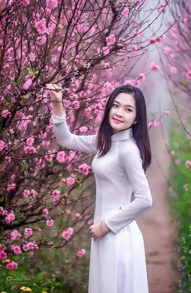 Áo Bà Ba
