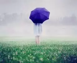 Bỏ Quên