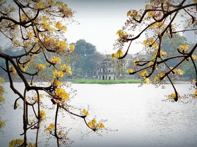 Chiếc Lá Giao Mùa