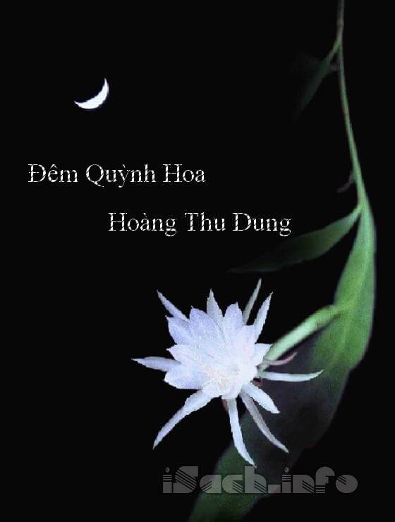 Đêm Quỳnh Hoa