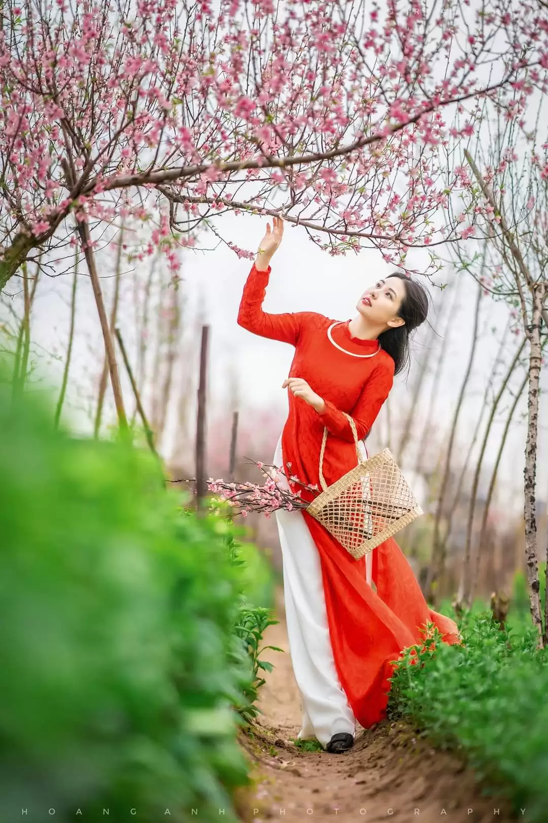 KHÚC NHẠC CHÀO XUÂN