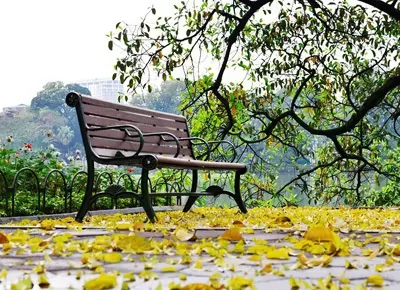 Nụ Hôn Mùa Xuân