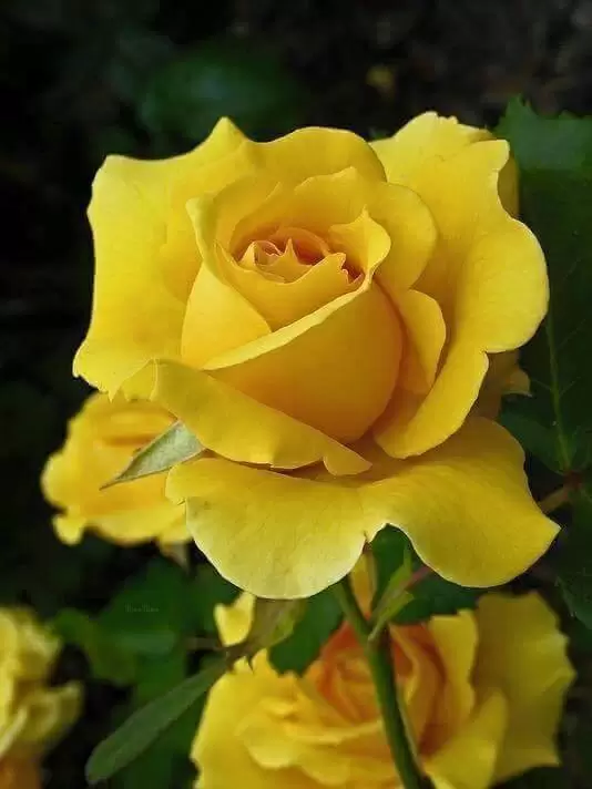 Ở HAI ĐẦU NỖI NHỚ