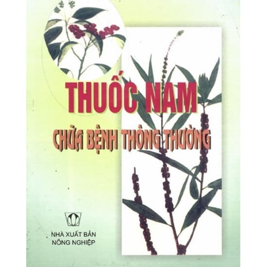 Thuốc Nam Chữa Bệnh Thông Thường