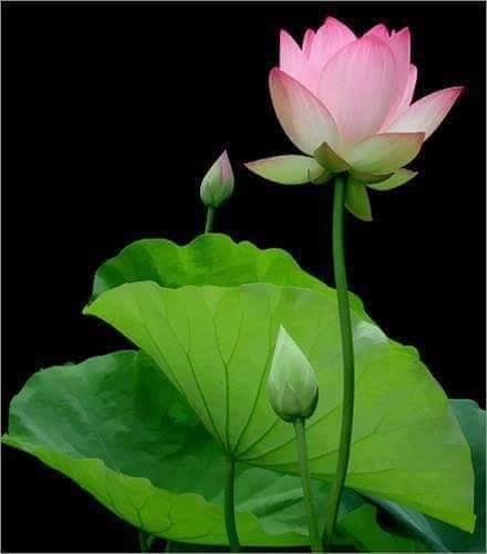 VIẾT CHO BẢN THÂN!