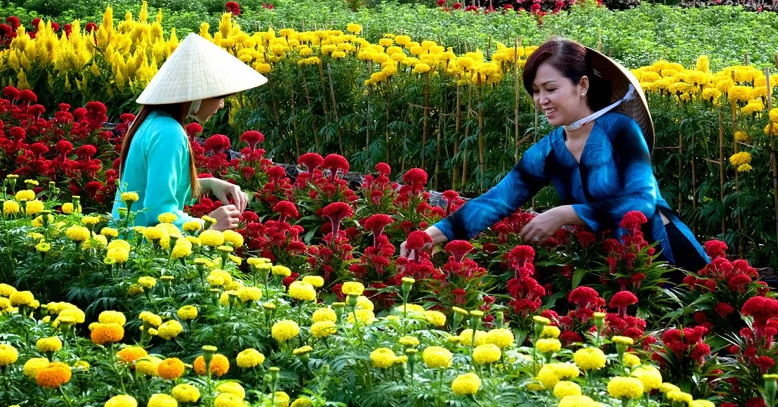 XUÂN LONG AN