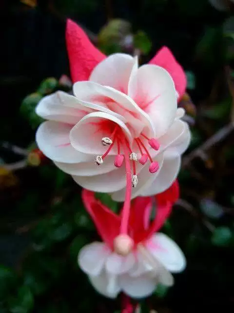 YÊU MÌNH TRƯỚC THÔI, ĐỪNG CHỜ ĐỢI AI